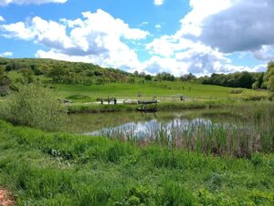 photo_65_2025-04-04_12-29-56